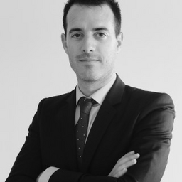 Description de l'animateur